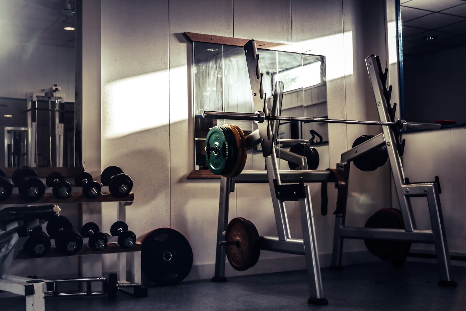 Sala de musculação organizada com halteres e barras num rack