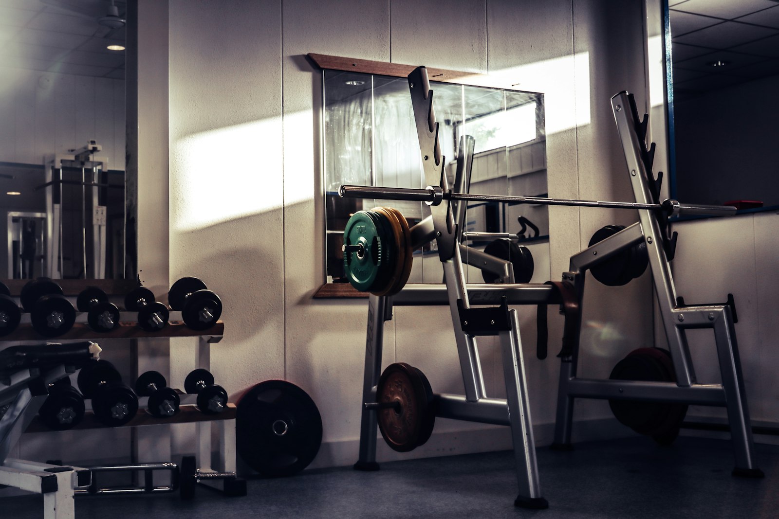 Sala de musculação organizada com halteres e barras num rack